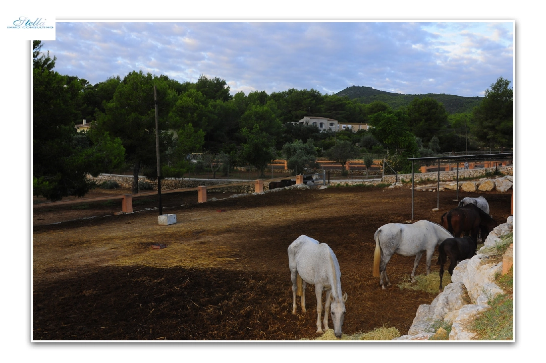 Villa in Javea te koop, woonoppervlakte 420 m², Airconditioning, grondstuk 18000 m², 5 slapkamer, 3 badkamer, Zwembad, ref.: PR-PPS1295-20