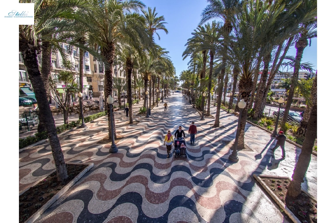 Stadthaus in Alicante(Playa de San Juan) te koop, woonoppervlakte 194 m², grondstuk 65 m², 4 slapkamer, 3 badkamer, Zwembad, ref.: TW-AZUR-5-24