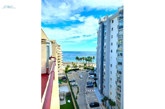 apartment-in-Calpe-Calpe-Town-Centre-for-sale-CA-A-1715-AMB-1.webp