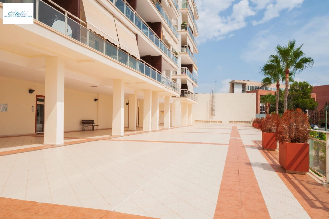 Penthouse Apartment in Calpe(Calpe) te koop, woonoppervlakte 117 m², Airconditioning, 3 slapkamer, 2 badkamer, Zwembad, ref.: COB-3473-10535-15